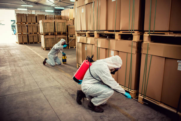 Best Affordable Pest Control Services  in Washington, PA