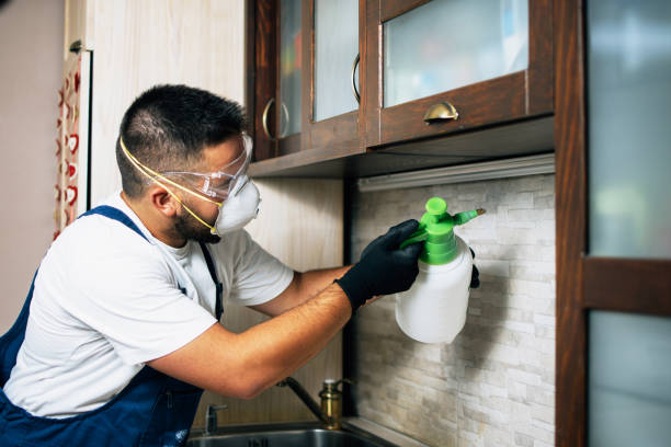 Best Emergency Pest Control  in Washington, PA