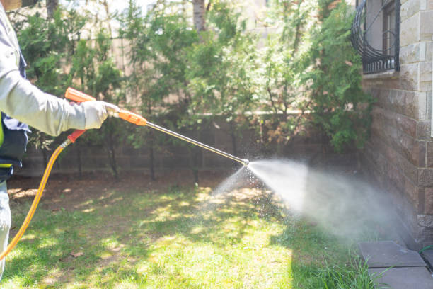 Flea Control Services in Washington, PA
