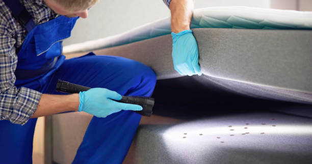 Best Bed Bug Extermination  in Washington, PA