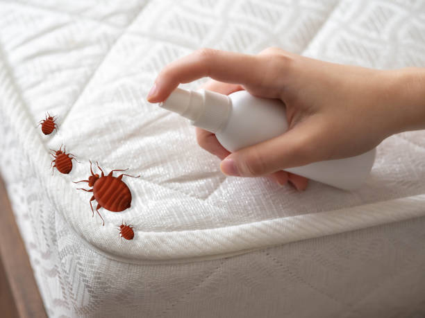Insect Control in Washington, PA