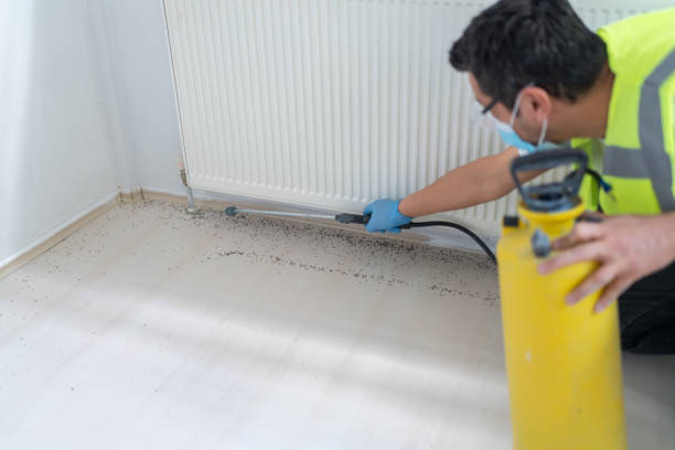Best Residential Pest Control  in Washington, PA